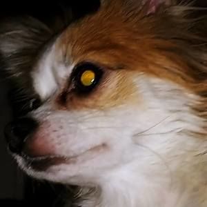 Meet your Posher, Joyce